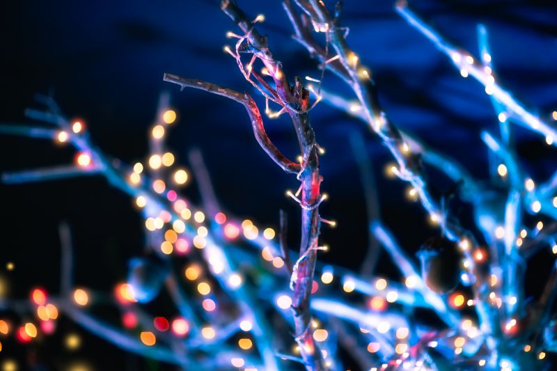 Christmas Lights Hanging in Roswell, GA
